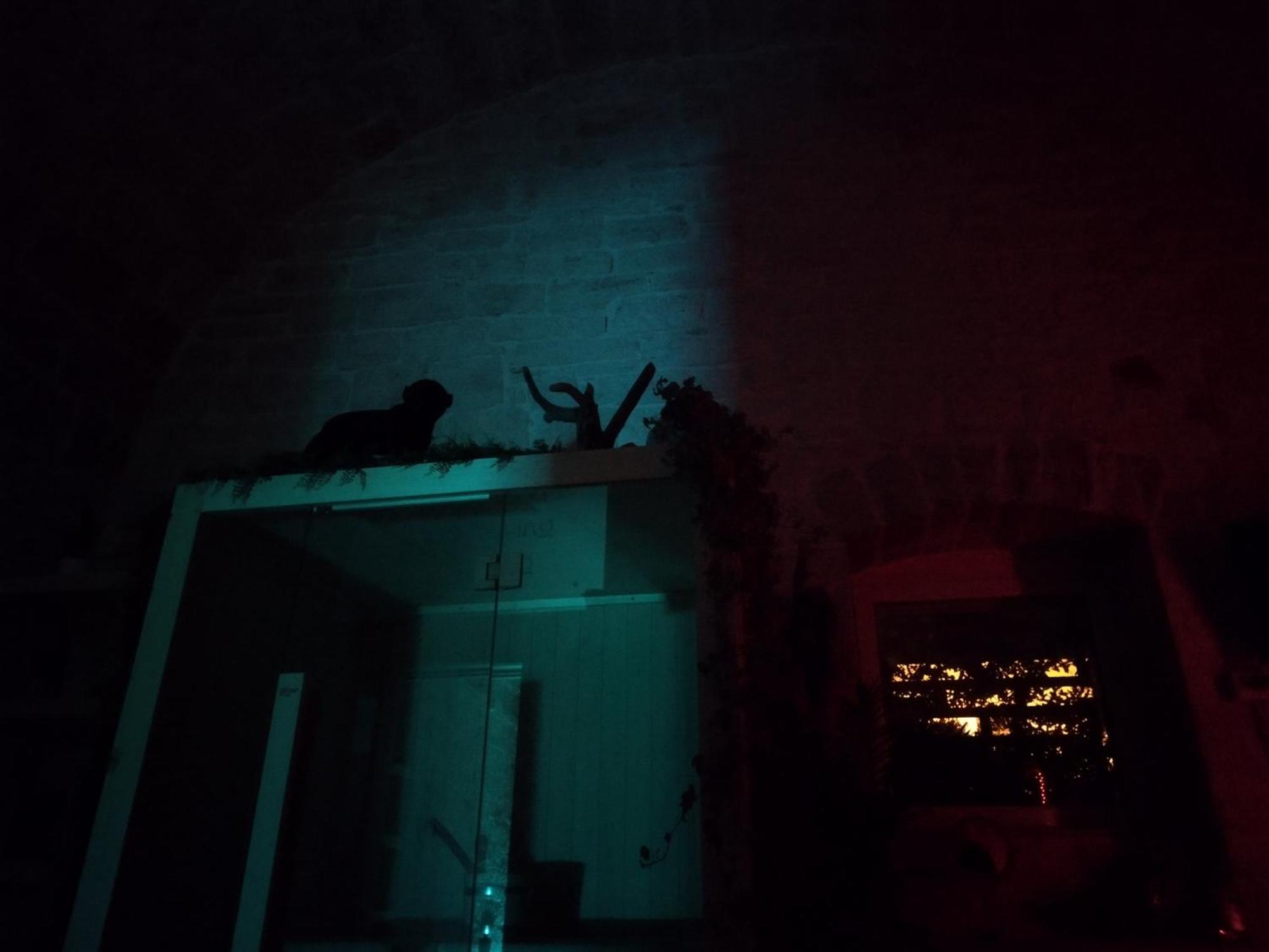Alle Volte Maison Deluxe Giovinazzo Exteriör bild